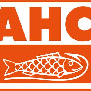 Bahco logo.png