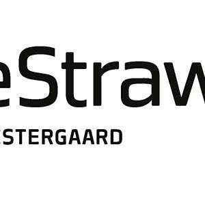 LifeStrawGO_logo_2.jpg